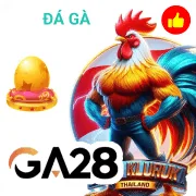 winaz Game 11